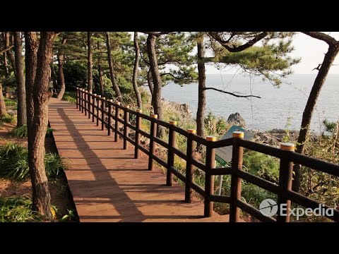 Olle Walking Paths, Jeju Island Vacation Travel Guide | Expedia