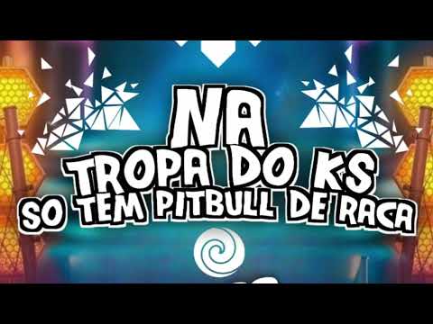KS Sheik - Na Tropa do KS So Tem PitBull de Raça (Áudio Oficial) DJ KS Sheik