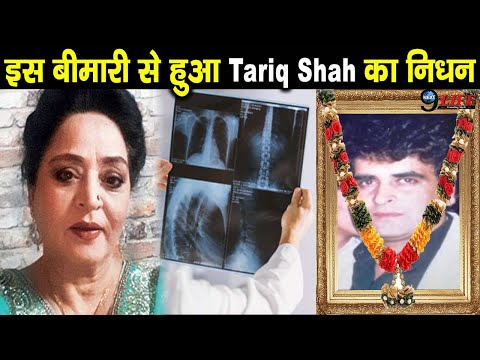 MOONFALL HALLE BERRY COSTUME