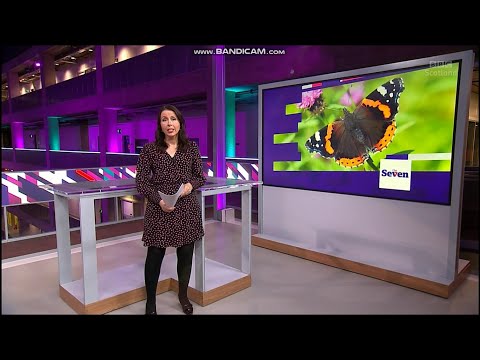 Suzanne Allan - Black Tights - 10/10/21