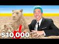 Best Kinetic Sand Art Wins 10 000