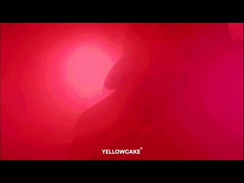 Buba Corelli - Ekstenzije (prod. by ArminDeejay) Lyrics Video