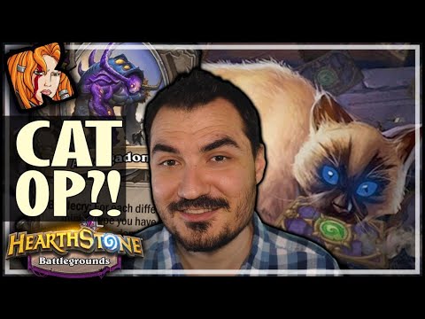 STABLE META = PLAY CAT! - Hearthstone Battlegrounds