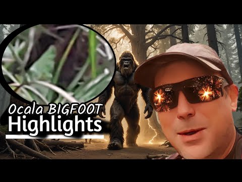 BIGFOOT SIGHTINGS in Ocala: Florida's finest Mystery