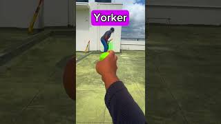Yorker #yorkerball #shorts #cricket #cricketshorts #inswing #cricketboxtox #bowled #inspiration #top