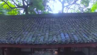 Chinese Traditional Dance [Liang liang ]  孙科舞蹈工作室