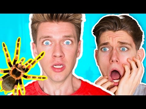 Gummy Food vs. Real Food Challenge! *EATING GIANT GUMMY SPIDER* Worm Gross Real Food Candy Video