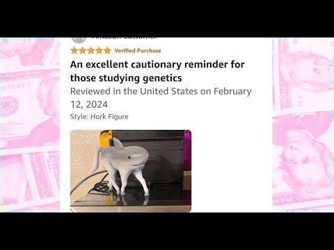 Some Silly Amazon Reviews