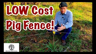 Pastured Pigs - CHEAP Fencing For Rotating Pigs On Pasture!