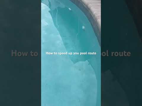 Dawn Dish soap works magic-The fastest way to clean a pool with a lot of leaves.