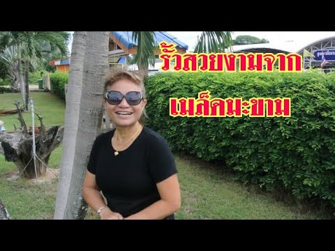 คลิกเพื่อดูคลิปวิดีโอ