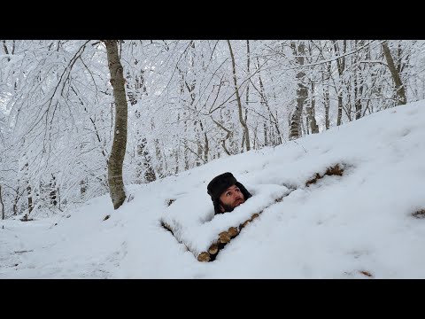 Winter Survival Shelter Built From SCRATCH in Freezing Forest!