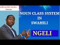 NGELI : NOUN CLASS SYSTEM IN SWAHILI ( PART 1 M-WA)