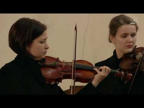 Georg Philipp Telemann - Sinfonia Spirituosa D major , TWV 44:1