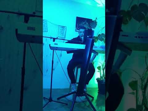 Alen Vogrinec Vesel corona podpora