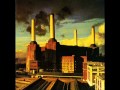 Pink Floyd - Sheep 