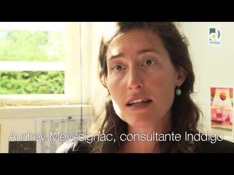 Collecte hippomobile