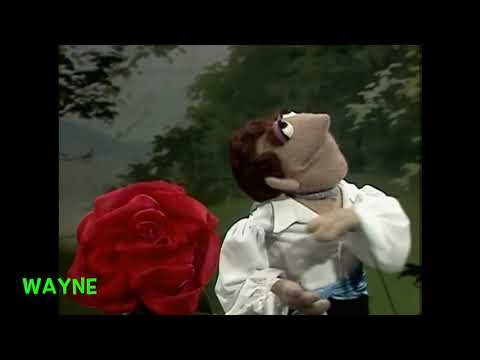 Muppet Songs: Wayne - Wild Irish Rose