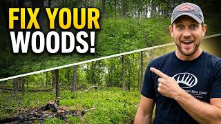 This Is What a Managed Forest Actually Looks Like
