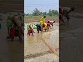 Superhit Avadhi Kajari Geet Shortsvideo Viral Youtubeshorts