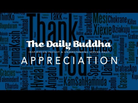 The Daily Buddha - Appreciation