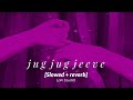 Jug Jug jeeve || LoFi StudiO || slowed reverb || relax and 😌