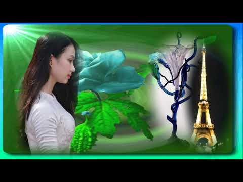 Nhớ chút tình bỏ quên - Bạch Yến