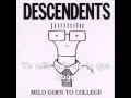 Descendents - Tonyage (Subtitulada)