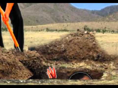 Y LAS FOSAS APÁ,:ISMAEL HERNANDEZ DERAS