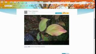 Revised Screencast Lesson #1