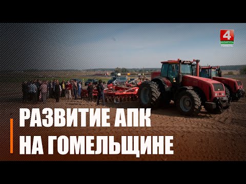 На Гомельщине прямо в поле обсудили развитие АПК  видео