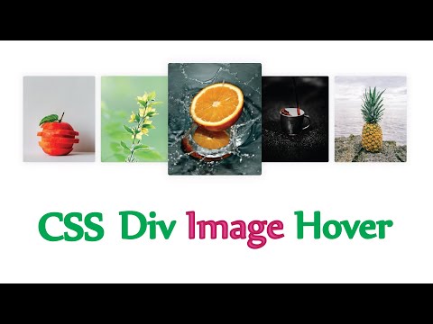 Div Image Hover Effect Using Html And Css Tutorial