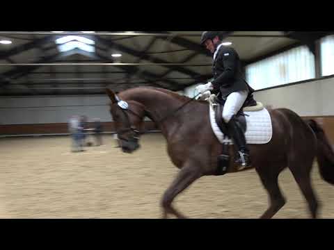 Bellezza SLP Dressur 27.05.2021