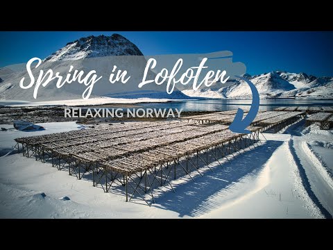 RELAXING NORWAY - Western Lofoten in April