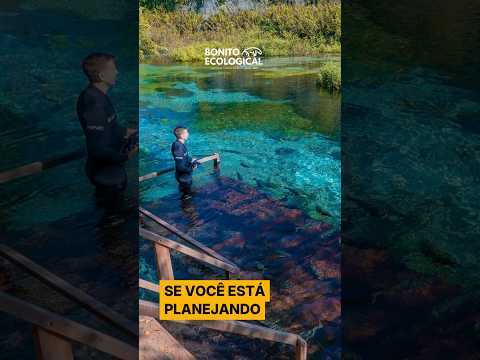 conheça o Rio Sucuri,  em Bonito, Mato Grosso do Sul