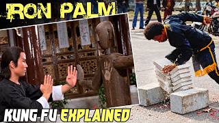 Download lagu The SECRETS of IRON PALM Kung Fu EXPLAINED mp3 Download lagu The SECRETS of IRON PALM Kung Fu EXPLAINED mp3