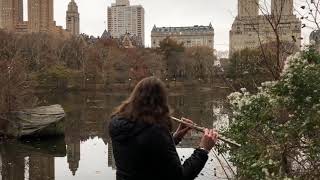 “Don’t Let Me Be Misunderstood” (featuring Lady Gaga) - Brian Newman - Live in Central Park