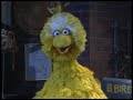 Sesame Street Show 2023
