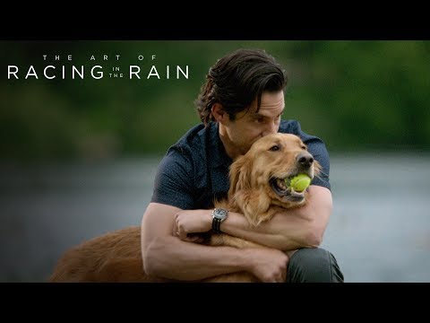 The Art Of Racing In The Rain Fox Movies Official Site