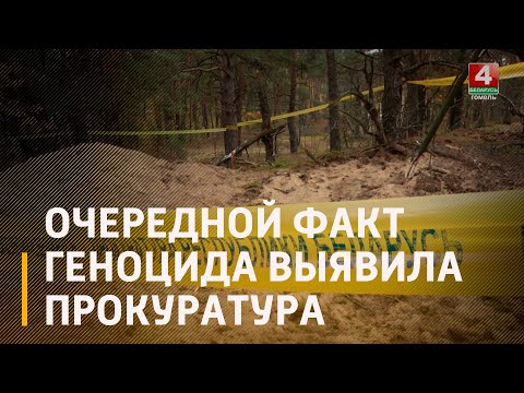 Очередной факт геноцида выявила прокуратура Мозырского района видео