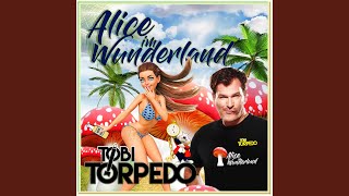 Kadr z teledysku Alice im Wunderland tekst piosenki Tobi Torpedo
