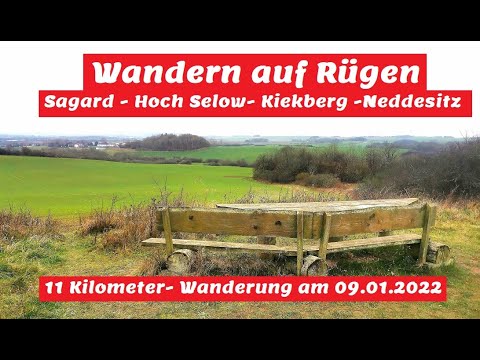 Wandern auf Rügen ! Sagard -Hoch Selow - Kiekberg - Neddesitz  ! 11 KM-Wanderung  am 09. 01. 2022