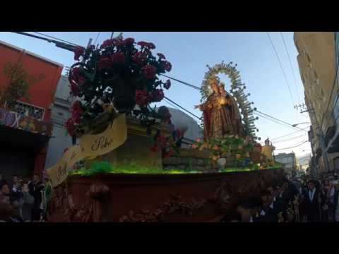 🎵🎶Salve Rociera. Nuestra Señora de Los Pobres 11.1.2020