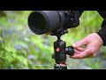 Video Review of the Sony Cyber-shot RX100 VII Cyber-shot Digital Camera