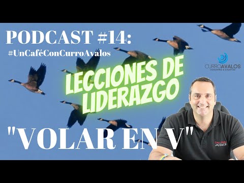 PODCAST 🎙#14: El Vuelo De Los Gansos / Con Curro Avalos 👍🏻
