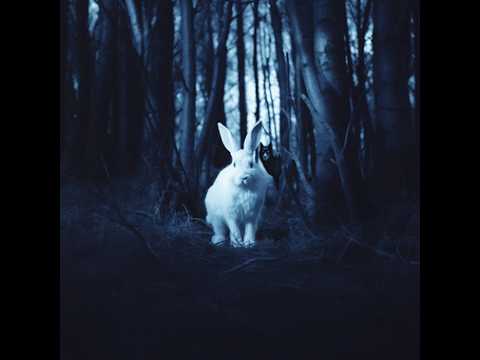 PARIS SHADOWS, RAVEN GRAY - FEVER DREAM на русском | перевод | субтитры