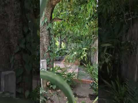 Casa en Venta en Avenida centenario, Honda