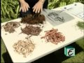 Landscaping Tips- The How and Why of Mulch