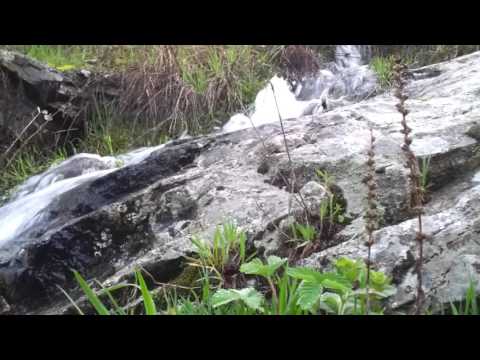 Miratoc reka Kajoshit