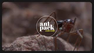 AntPack - Video - 1